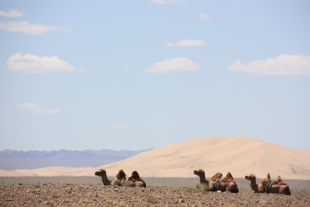 Golden Gobi Hostel & Tours Ουλάν Μπατόρ Εξωτερικό φωτογραφία