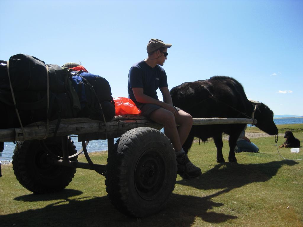 Golden Gobi Hostel & Tours Ουλάν Μπατόρ Εξωτερικό φωτογραφία